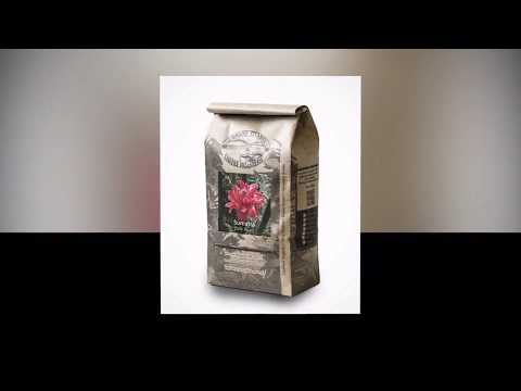 Best Espresso Beans Of 2019 Buying Guide