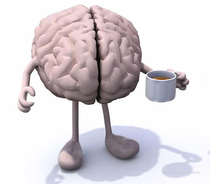 The Ultimate Resource for Coffee Lovers The Ultimate Resource for Coffee Lovers