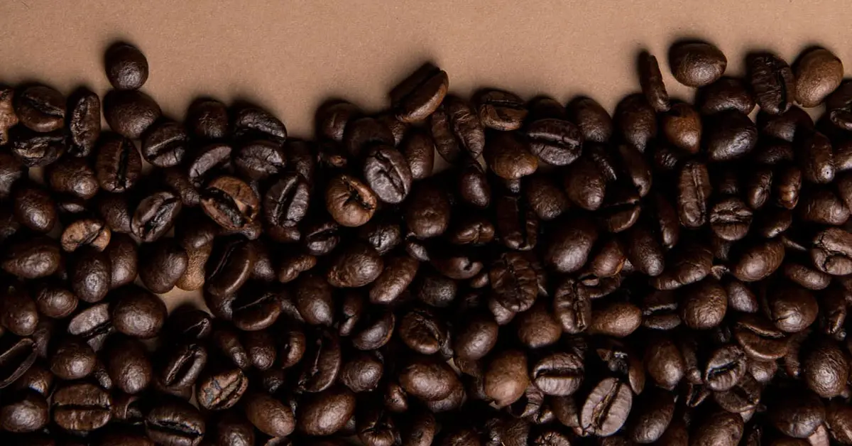 What Are the Best Coffee Beans