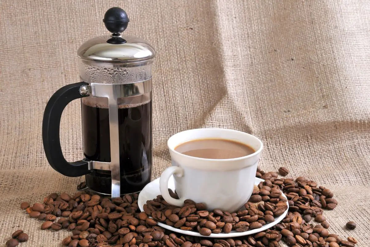 french press ratio