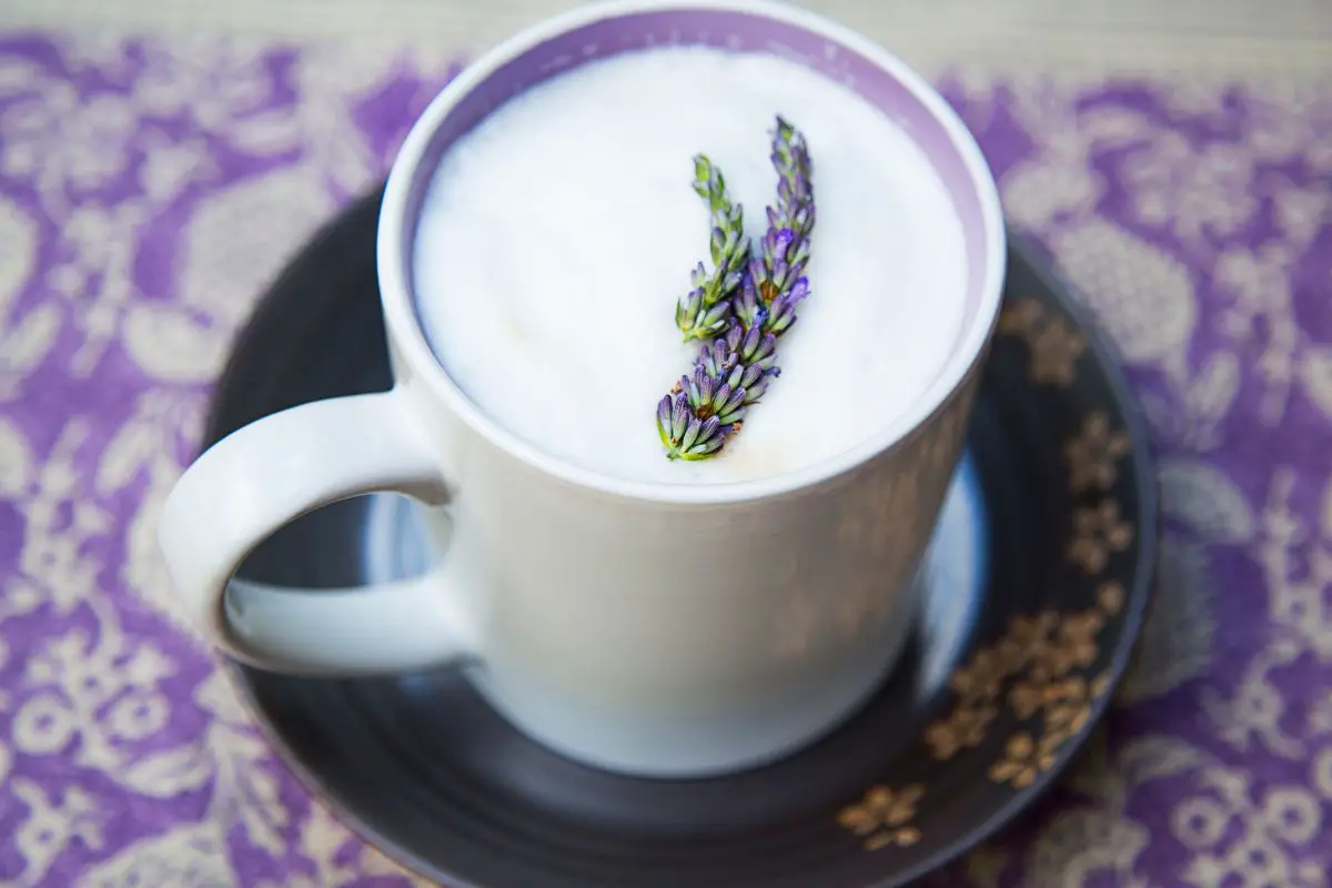 Lavender latte